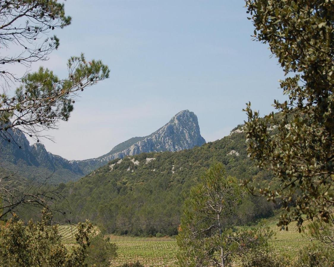 Domaine Du Bois Gite Marion Galargues Esterno foto