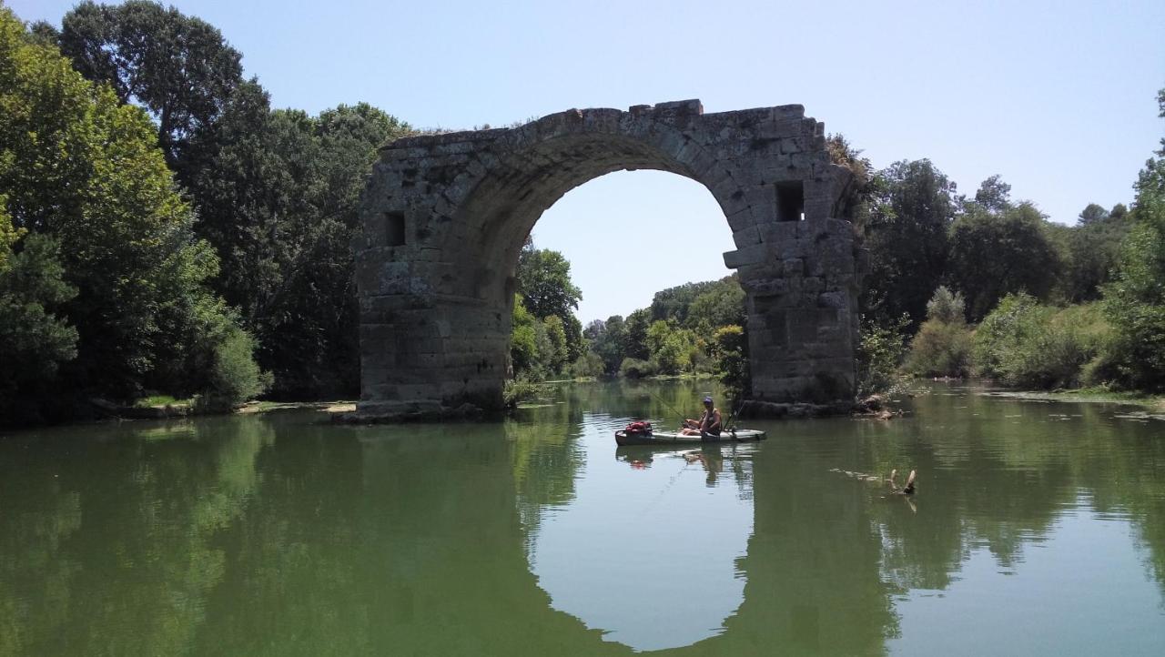 Domaine Du Bois Gite Marion Galargues Esterno foto
