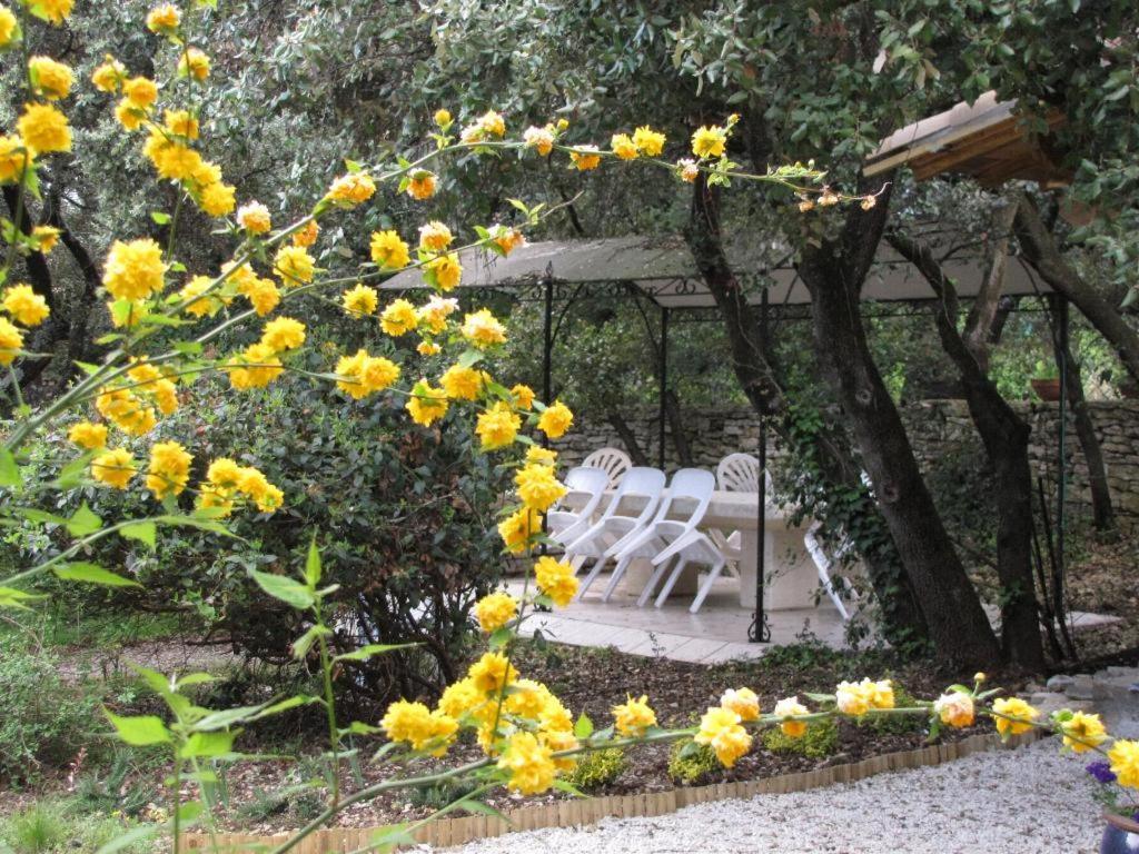 Domaine Du Bois Gite Marion Galargues Esterno foto